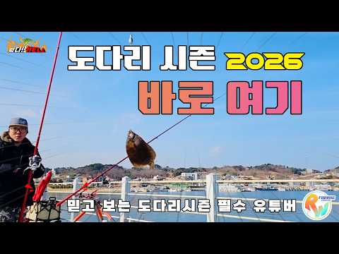 [2월 동해안] 도다리 원투채비법 완벽 가이드 (2026.04.20)