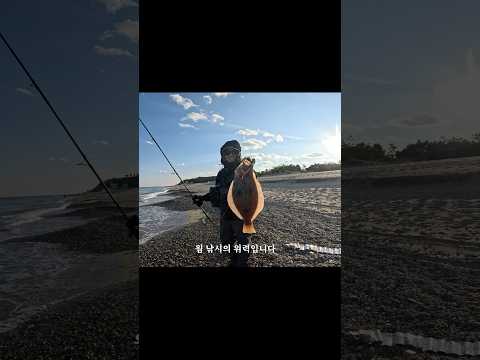 [6월 동해안] 광어 루어낚시법 완벽 가이드 (2026.04.23)