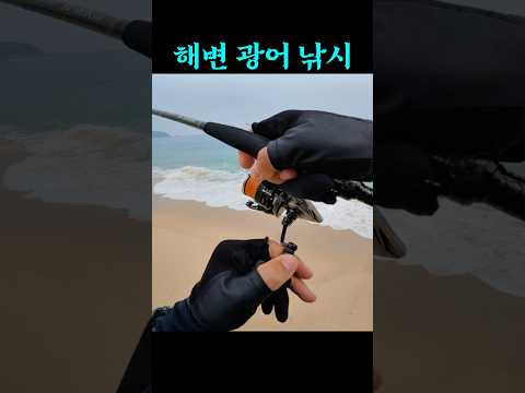 [6월 동해안] 광어 낚시포인트 완벽 가이드 (2026.04.23)