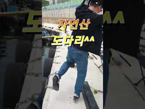 [2월 동해안] 도다리 낚시포인트 완벽 가이드 (2026.04.20)