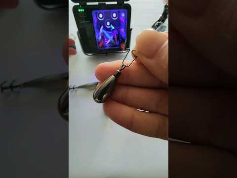 [서해안] 쭈꾸미 인기 선단 소개 완벽 가이드 (2026.04.23)