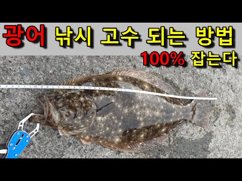 [6월 동해안] 광어 시즌개요 완벽 가이드 (2026.04.23)