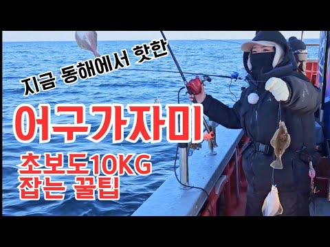 [4월 동해안] 가자미 시즌개요 완벽 가이드 (2026.04.22)