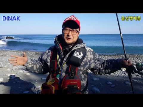 [5월 동해안] 농어 시즌개요 완벽 가이드 (2026.04.22)