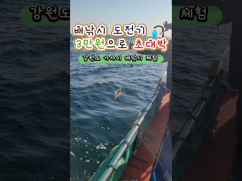 [4월 동해안] 가자미 낚시포인트 완벽 가이드 (2026.04.22)