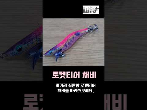 동해안 무늬오징어 루어낚시법 – 7월 낚시 완벽 가이드 (2026.04.25)