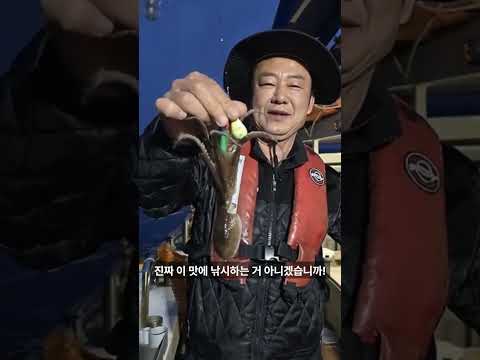 [서해안] 쭈꾸미 시즌개요 완벽 가이드 (2026.04.22)