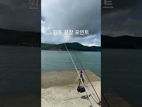 [3월 동해안] 도다리 낚시포인트 완벽 가이드 (2026.04.21)