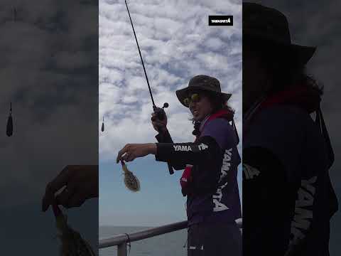 [서해안] 갑오징어 시즌개요 완벽 가이드 (2026.04.23)