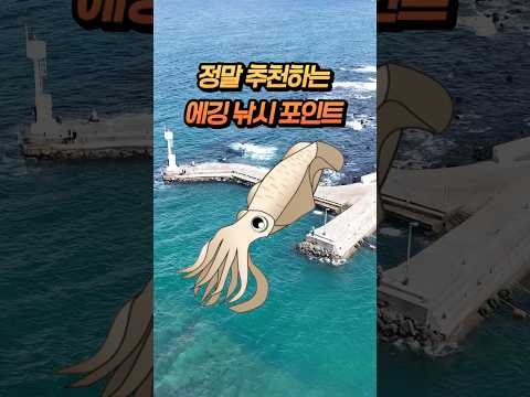 동해안 무늬오징어 낚시포인트 – 7월 낚시 완벽 가이드 (2026.04.25)