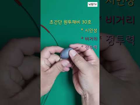 [6월 동해안] 광어 원투채비법 완벽 가이드 (2026.04.23)