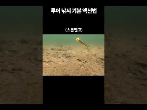 [2월 동해안] 도다리 루어낚시법 완벽 가이드 (2026.04.20)