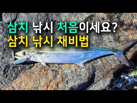 삼치 루어낚시 완벽 가이드 ① – 시즌·채비 (2026.05.10)