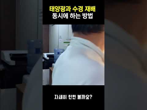 스마트팜 태양광 에너지 완벽 가이드 – 스마트팜 실전 정보 (2026.05.24)