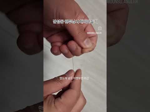 동해안 대구 원투채비법 – 11월 낚시 완벽 가이드 (2026.05.01)