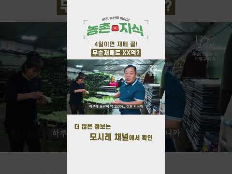 스마트팜 유망 작물 ③ – 버섯·새싹채소·마이크로그린 틈새시장 재배법 (2026.05.05)