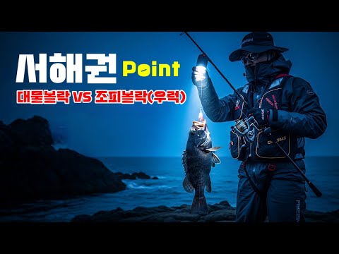 서해안 볼락낚시 완벽 가이드 – 채비·포인트·시즌 총정리 (2026.05.03)