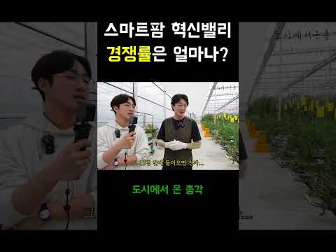 스마트팜 혁신밸리 완벽 가이드 – 스마트팜 실전 정보 (2026.05.18)