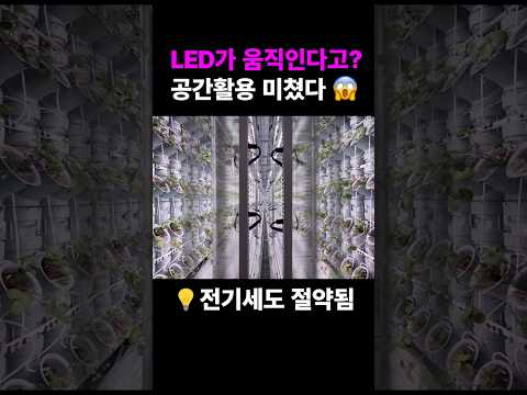 스마트팜 수직농장 LED 완벽 가이드 – 스마트팜 실전 정보 (2026.05.15)