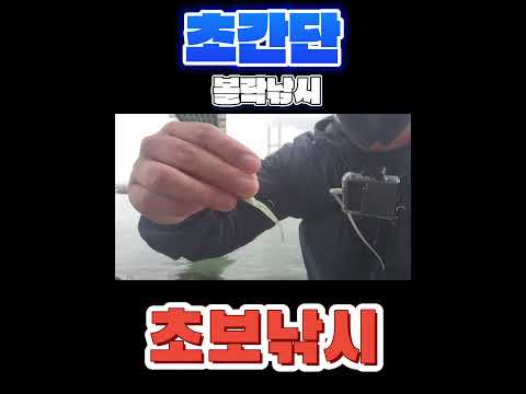 동해안 볼락 원투채비법 – 12월 낚시 완벽 가이드 (2026.05.05)
