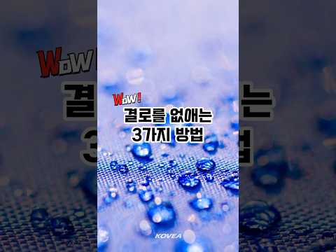 차박 환기·결로 해결법 — 숙면을 위한 완벽 가이드 (2026.05.25)