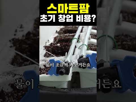 스마트팜 창업 비용 완벽 가이드 – 스마트팜 실전 정보 (2026.05.10)