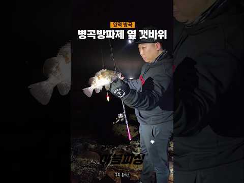동해안 볼락 루어낚시법 – 12월 낚시 완벽 가이드 (2026.05.07)