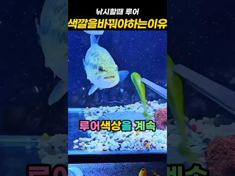 바다루어낚시 장비 총정리 ② – 루어·소품·관리 (2026.05.12)