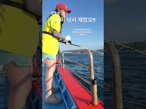 동해안 가자미 원투낚시 채비 완벽 가이드 (2026.05.25)