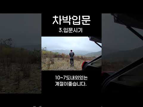차박 입문 — 내 차로 할 수 있을까? 차종별 완벽 가이드 (2026.05.16)
