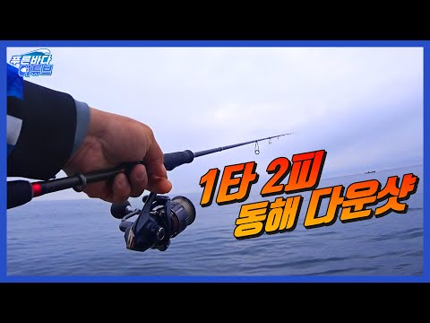 동해안 광어 루어낚시 채비 완벽 가이드 (2026.05.21)