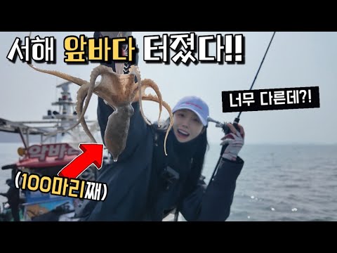 서해안 주꾸미낚시 완벽 가이드 – 채비·포인트·시즌 총정리 (2026.05.02)