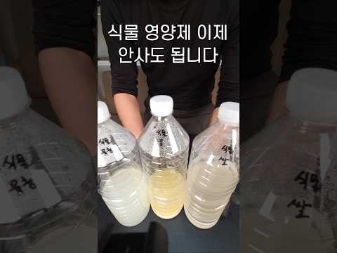 수경재배 영양액 가이드 완벽 가이드 (2026.05.27)
