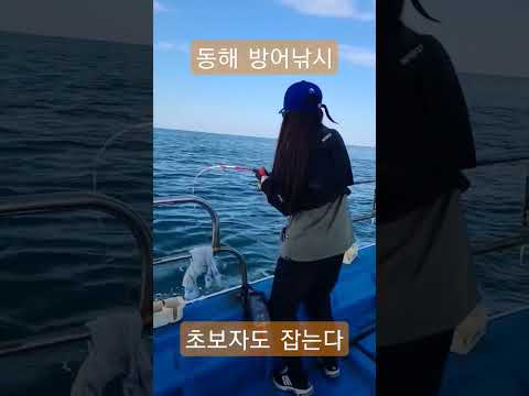 동해안 방어 지깅 시즌 공략 완벽 가이드 (2026.05.22)