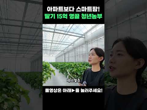 스마트팜 딸기 재배법 완벽 가이드 – 스마트팜 실전 정보 (2026.05.27)