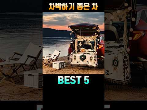 내연기관 차박 추천 차종 TOP5 — 2026 공간·가성비 완벽 비교 (2026.05.20)