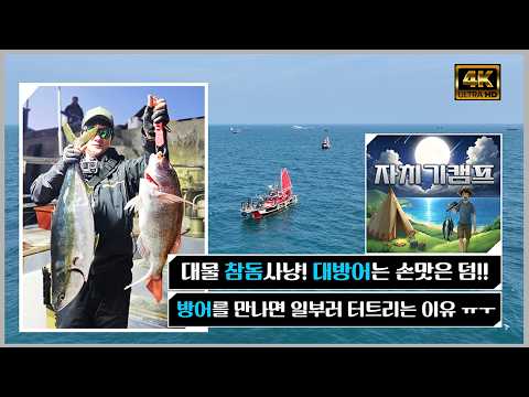 방어·부시리 지깅 완벽 가이드 ② – 대형어 공략법 (2026.05.11)