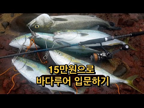 바다루어낚시 장비 총정리 ① – 로드·릴·라인 (2026.05.12)