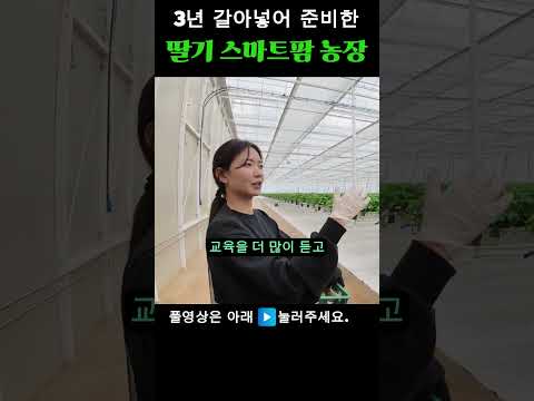 스마트팜이란? 일반 농업과 뭐가 다른가 – 2026년 완벽 입문 가이드 (2026.06.01)