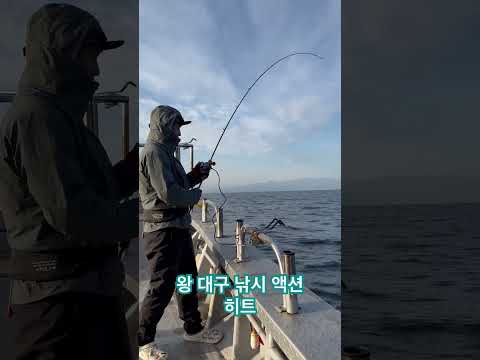 동해안 대구 낚시포인트 – 11월 낚시 완벽 가이드 (2026.05.02)