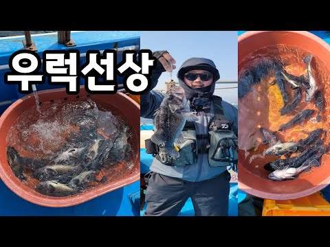 동해안 우럭 선상낚시 가이드 완벽 가이드 (2026.05.23)