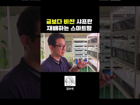 스마트팜 유망 작물 ③ – 버섯·새싹채소·마이크로그린 틈새시장 재배법 (2026.06.13)