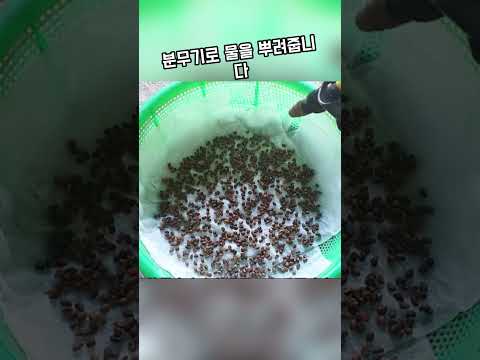 사계절 수경재배 작물 완벽 가이드 (2026.06.14)