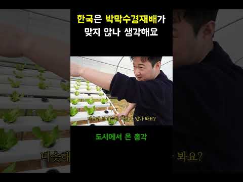 스마트팜 토마토 수경재배 완벽 가이드 – 스마트팜 실전 정보 (2026.06.16)