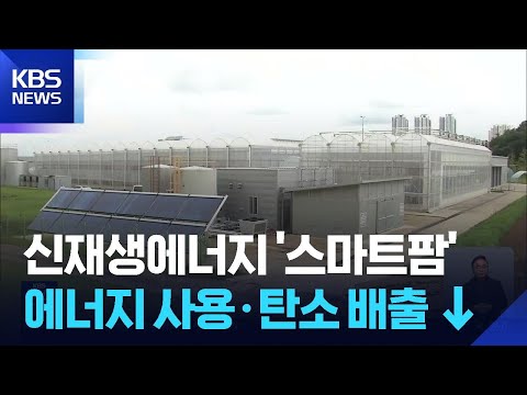 스마트팜 태양광 에너지 완벽 가이드 – 스마트팜 실전 정보 (2026.07.05)