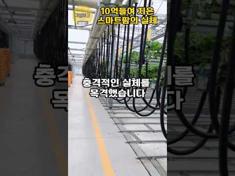 스마트팜 소규모 창업 완벽 가이드 – 스마트팜 실전 정보 (2026.07.06)